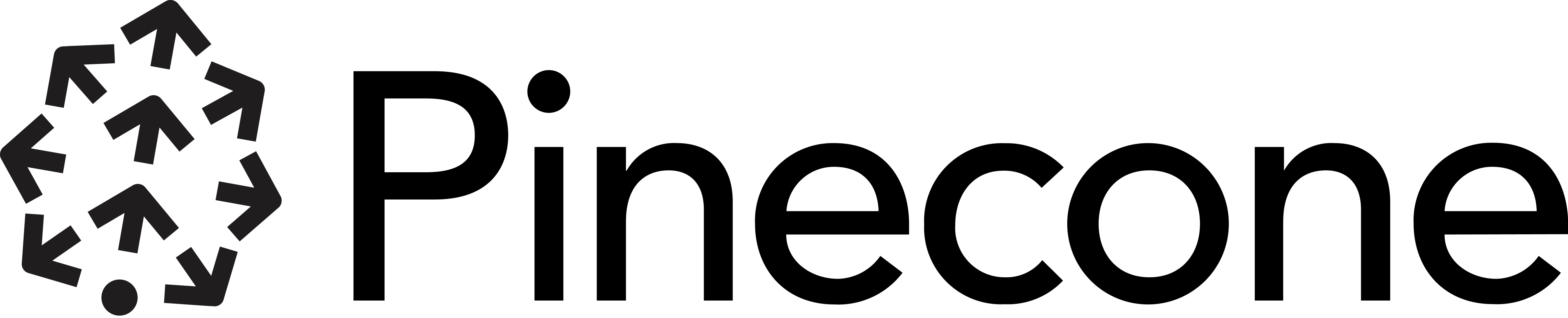 Pin
